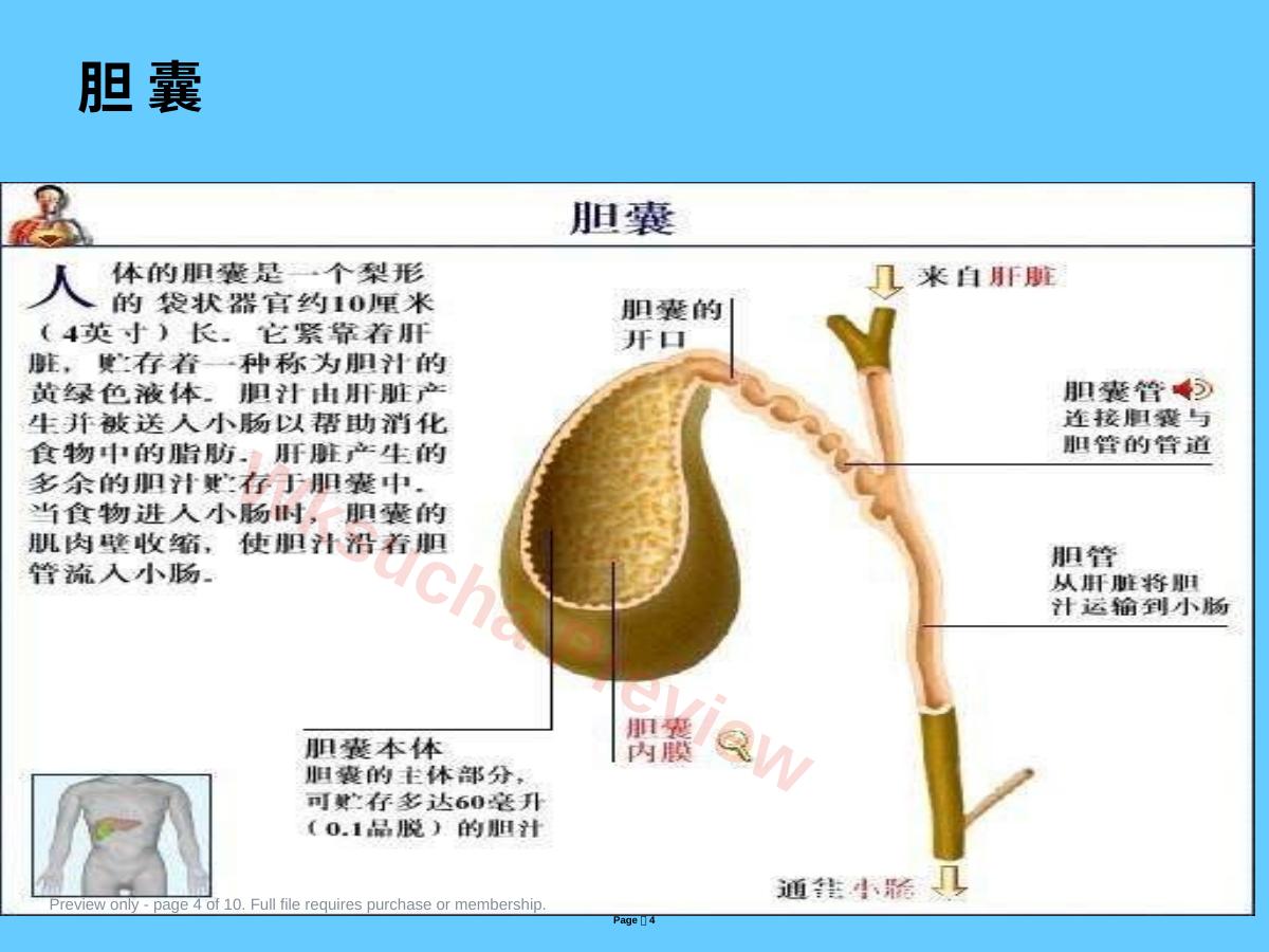 预览第 4 页