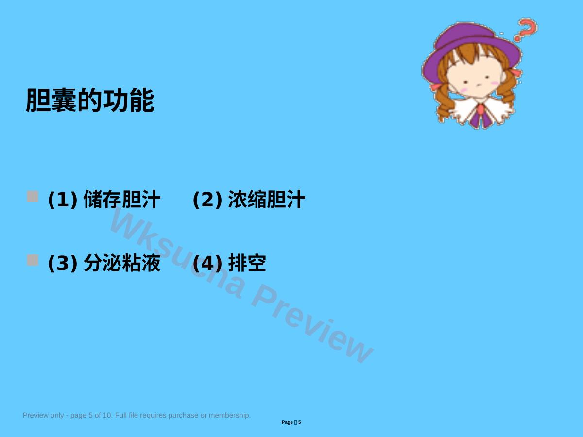 预览第 5 页