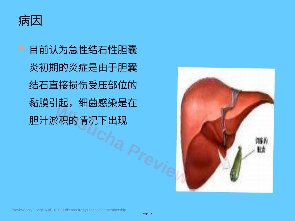 预览第 6 页
