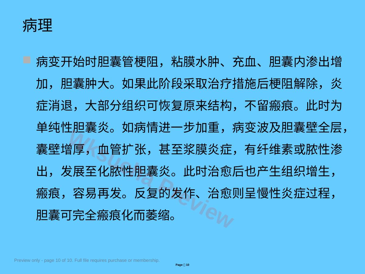 预览第 10 页