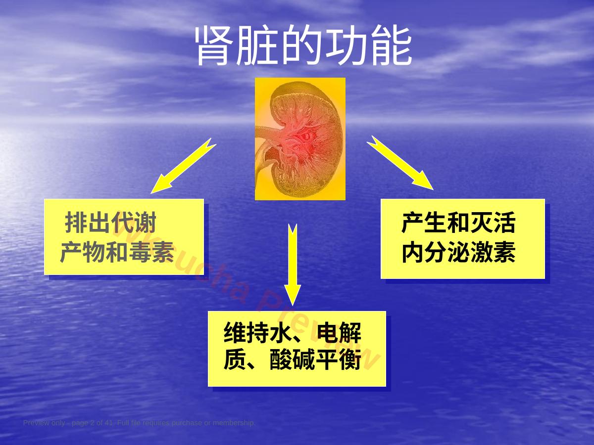 预览第 2 页