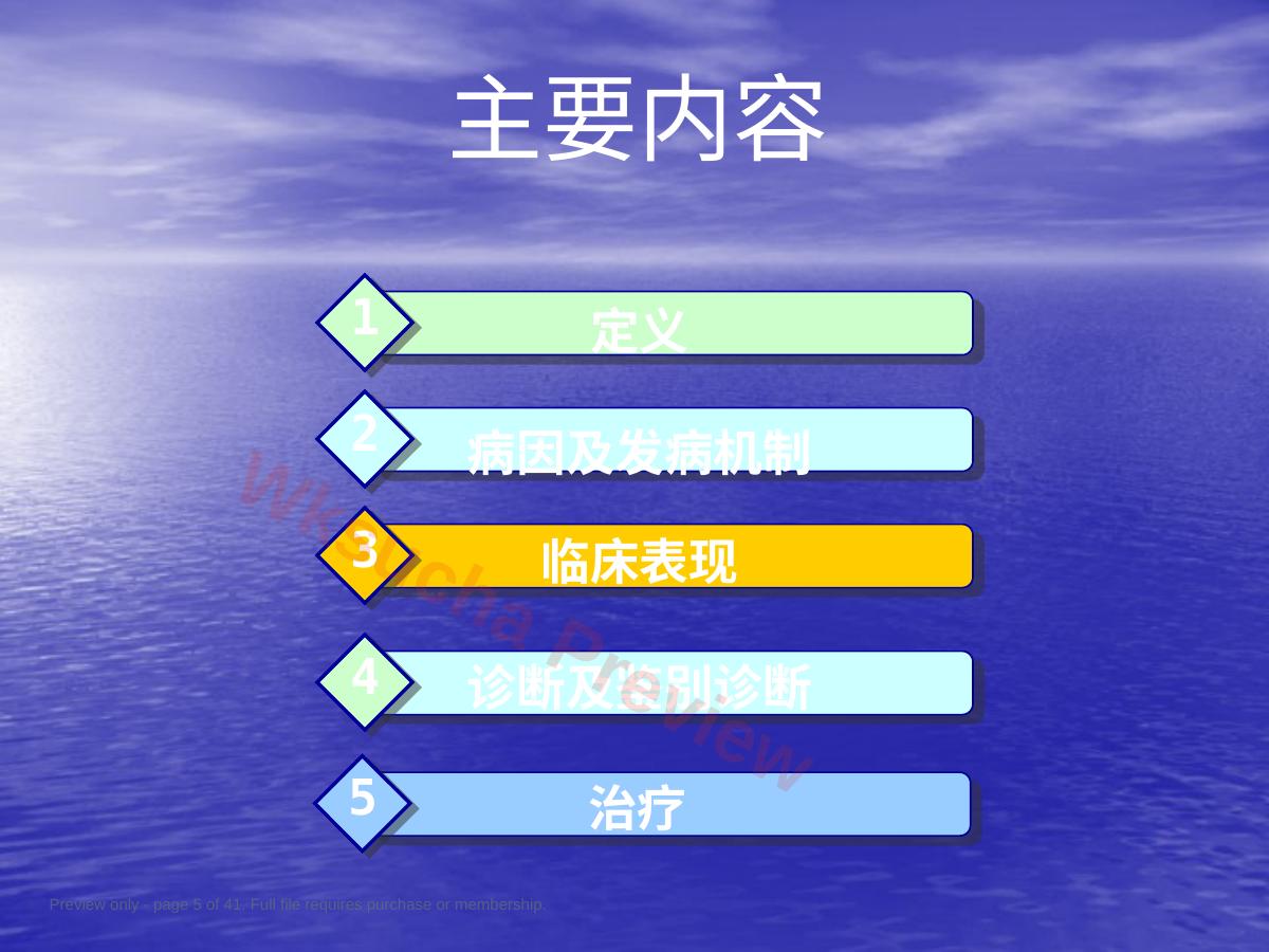 预览第 5 页