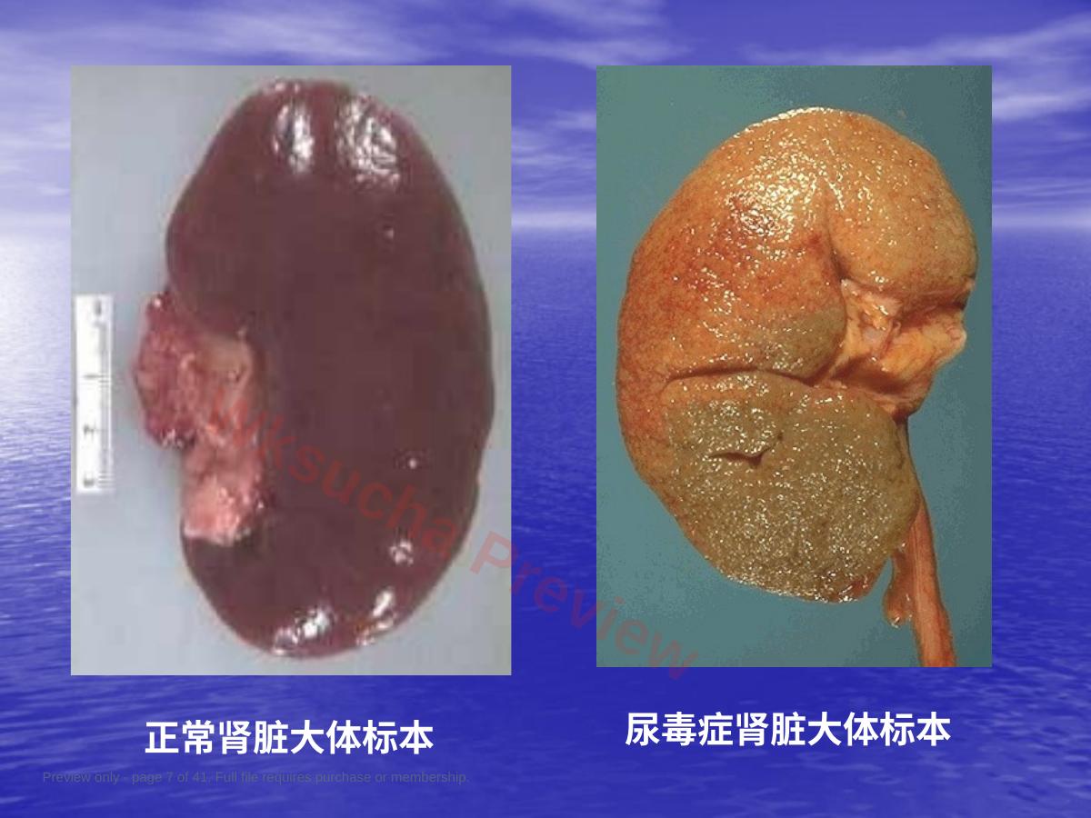 预览第 7 页