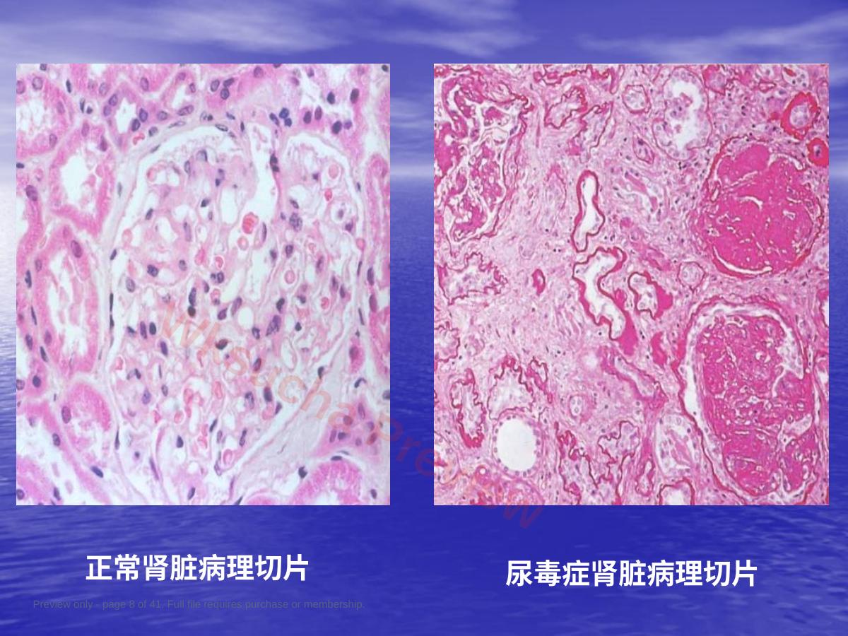 预览第 8 页
