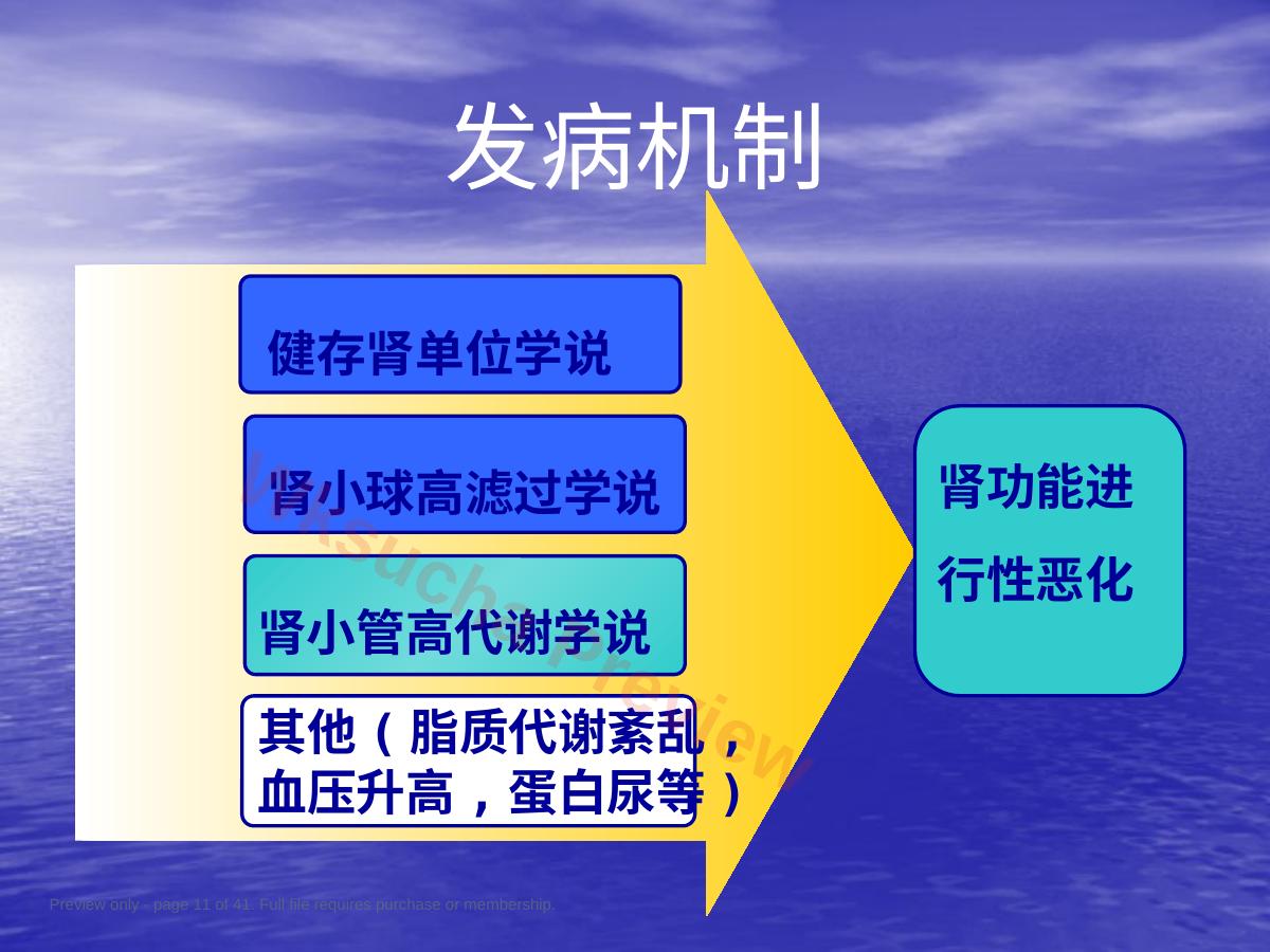预览第 11 页