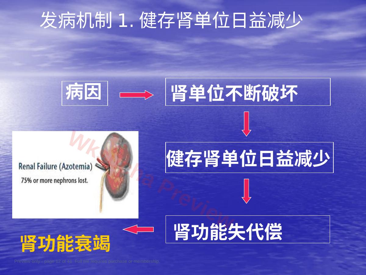 预览第 12 页