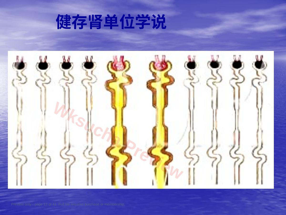 预览第 13 页