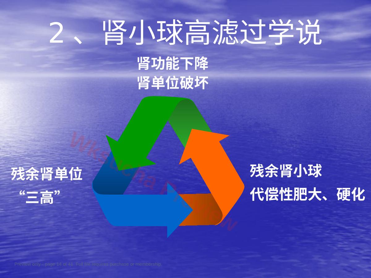 预览第 14 页