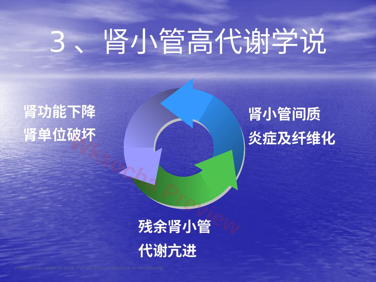 预览第 16 页