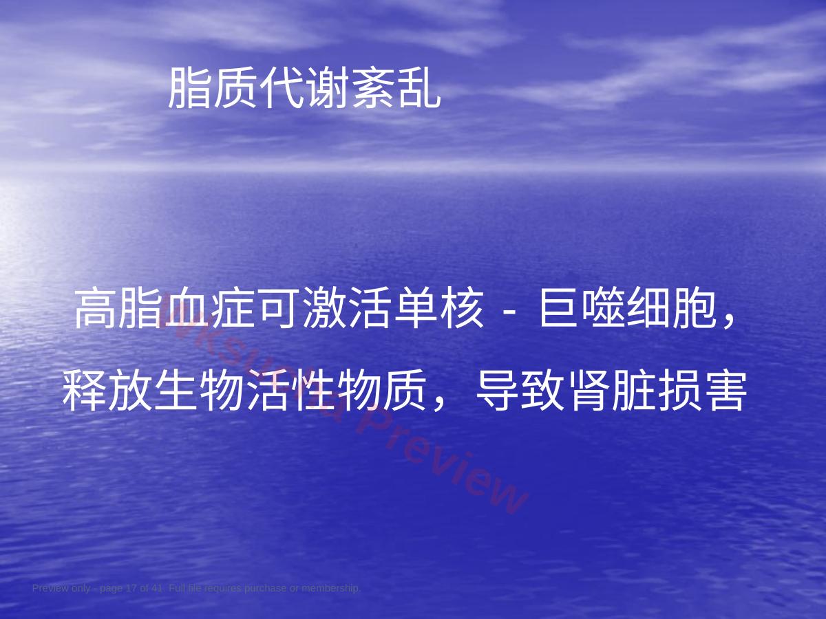 预览第 17 页
