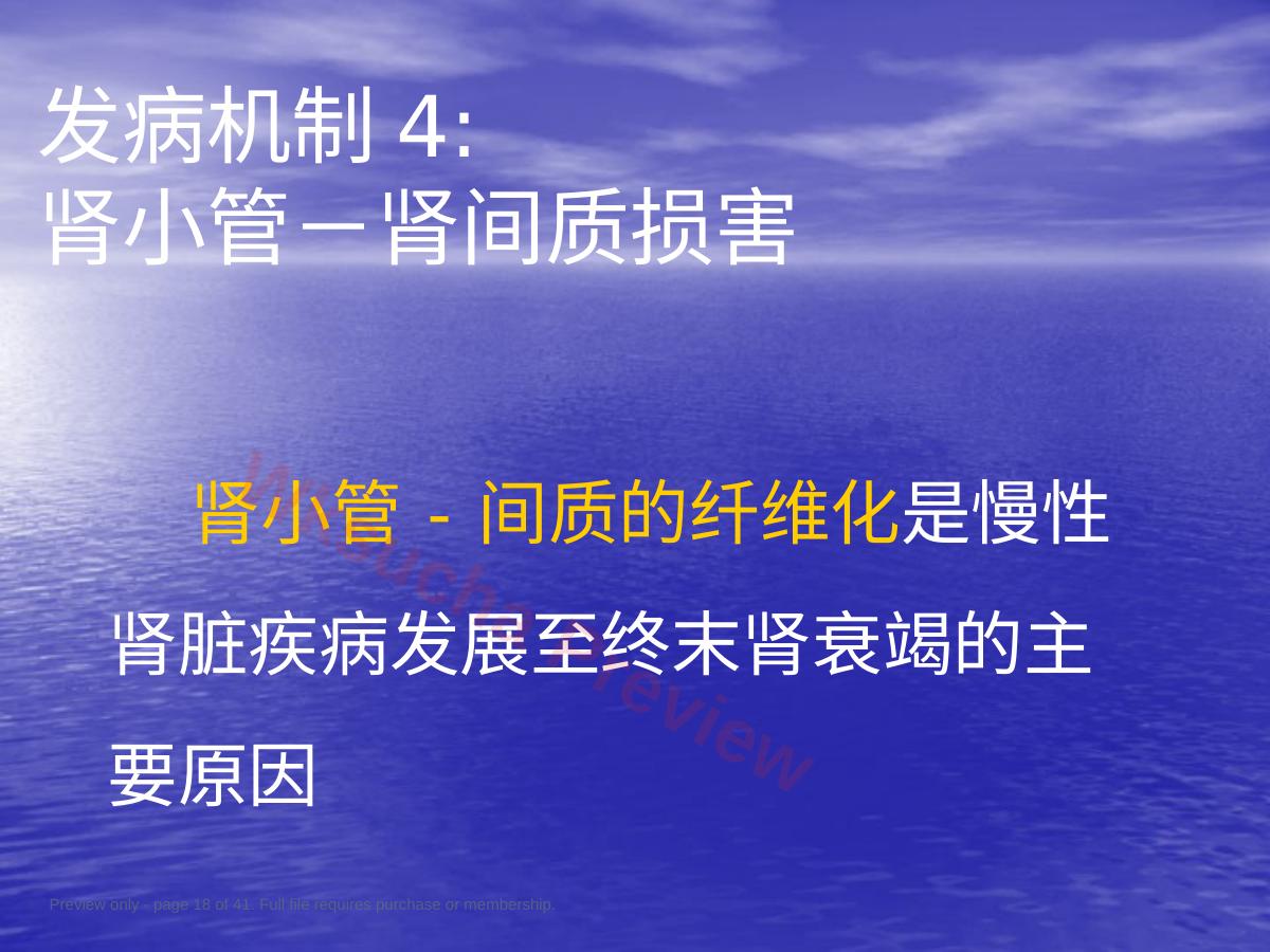 预览第 18 页