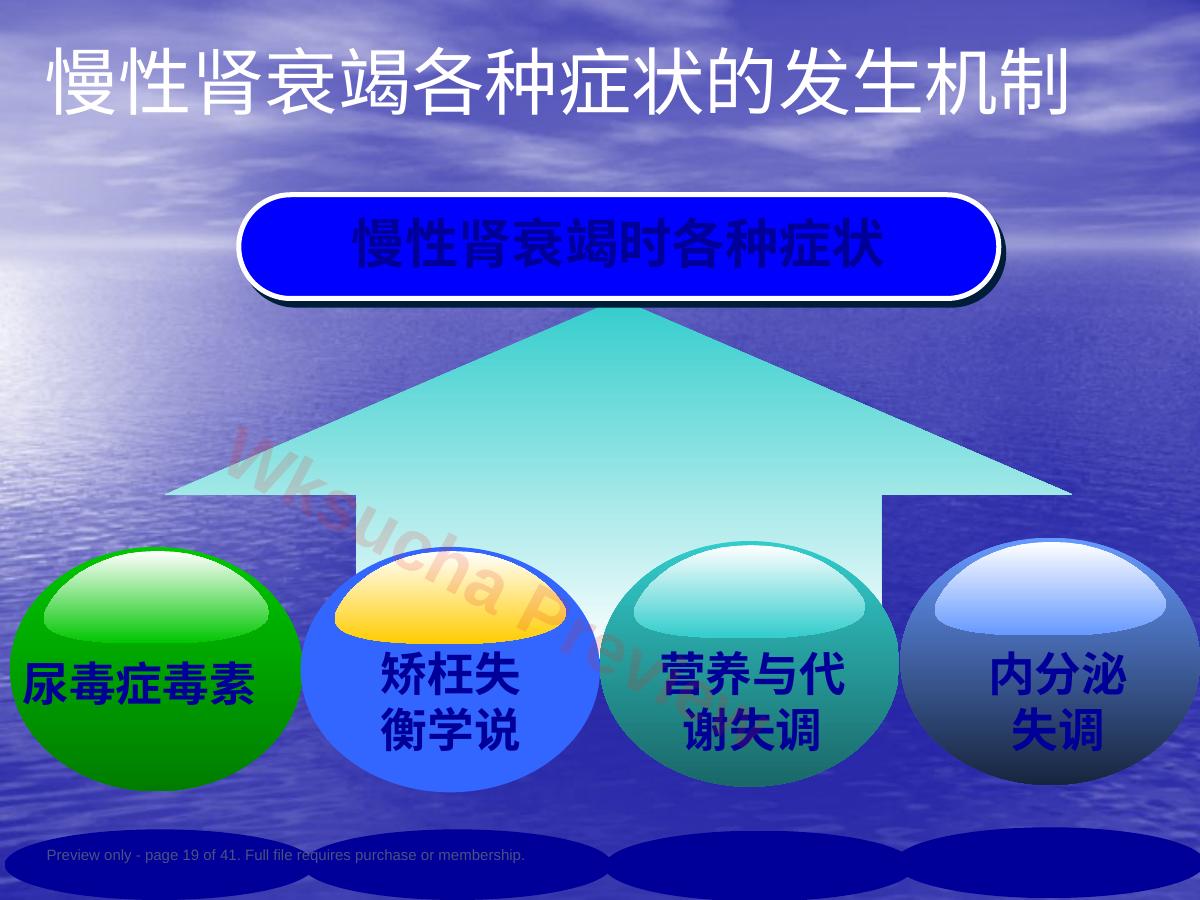 预览第 19 页