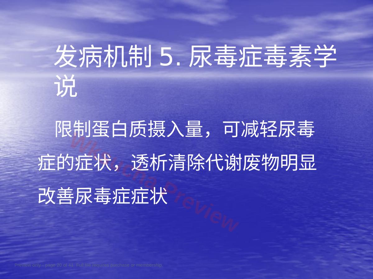 预览第 20 页