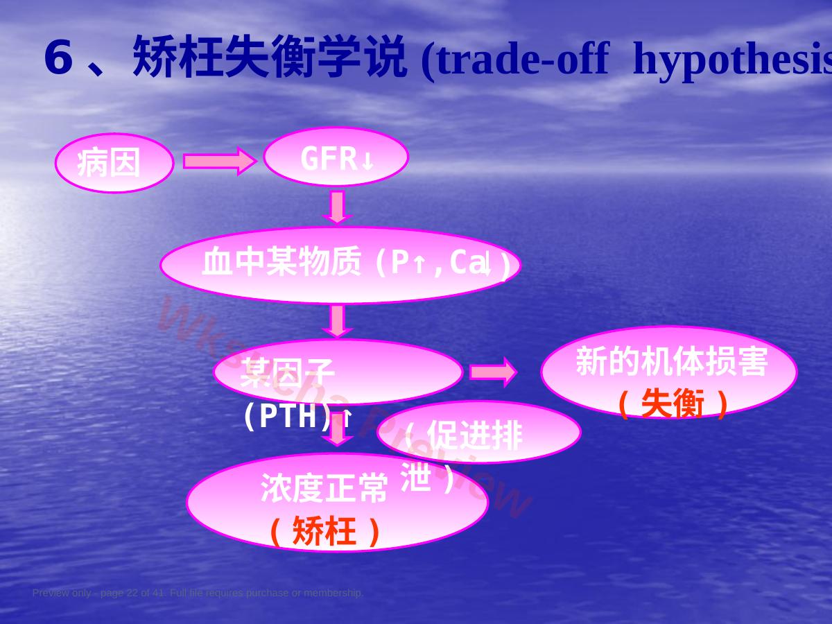 预览第 22 页