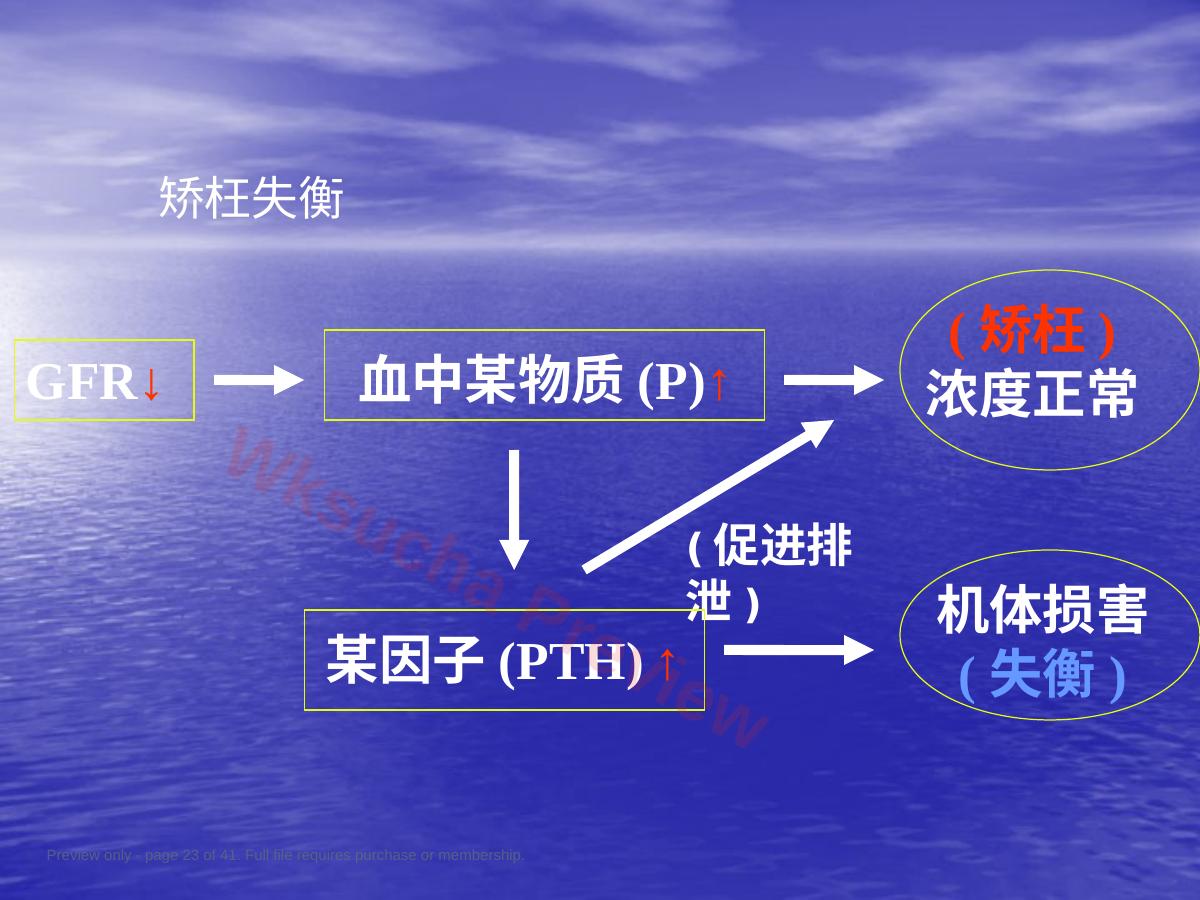 预览第 23 页