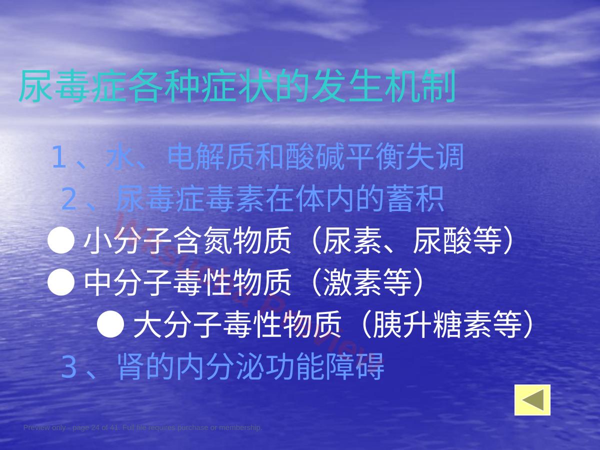 预览第 24 页