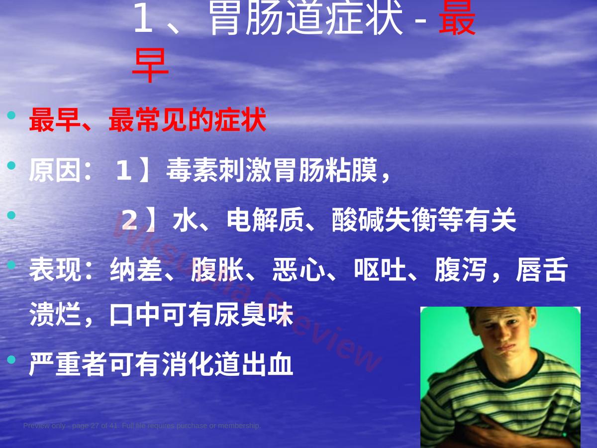 预览第 27 页