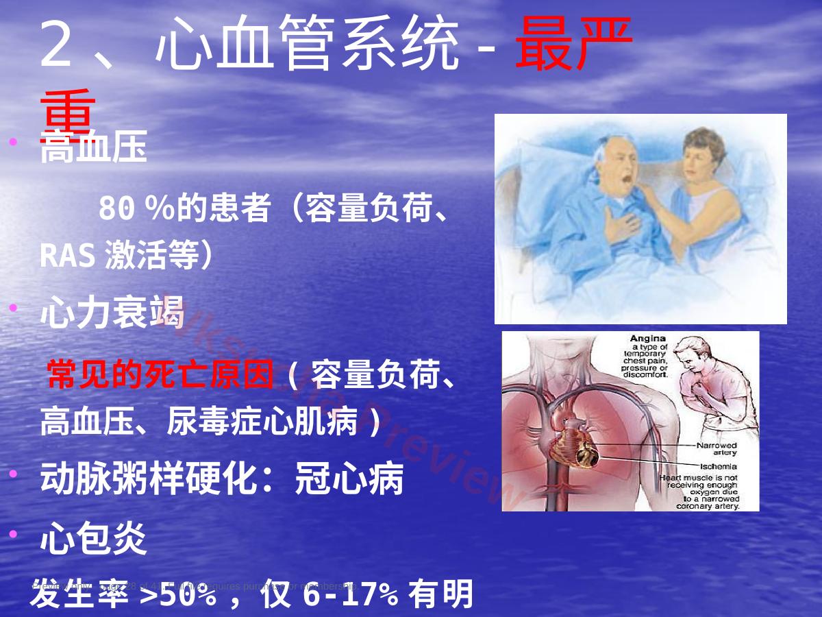 预览第 28 页