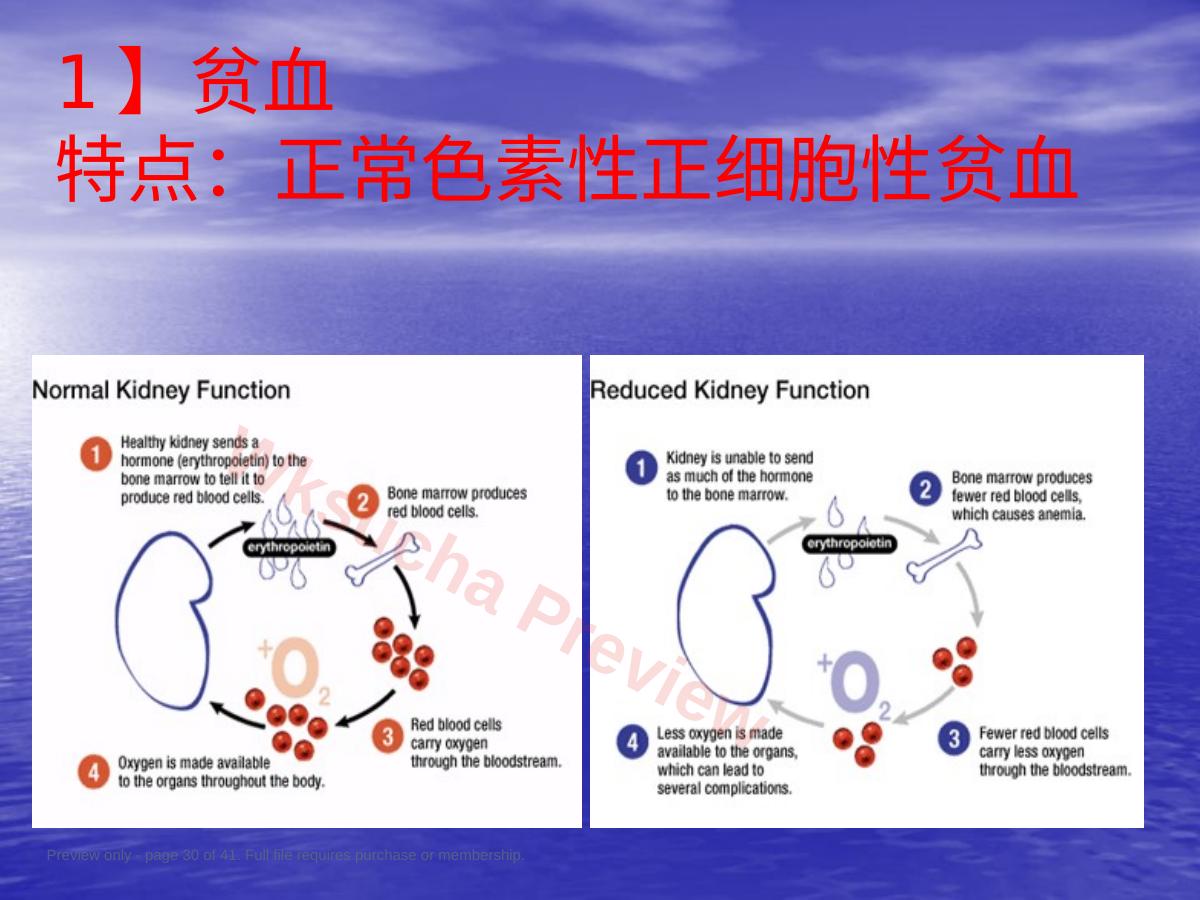 预览第 30 页