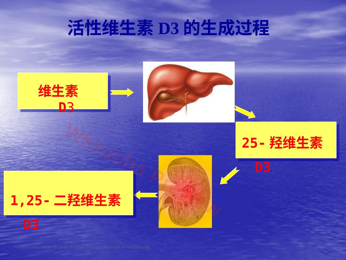 预览第 39 页