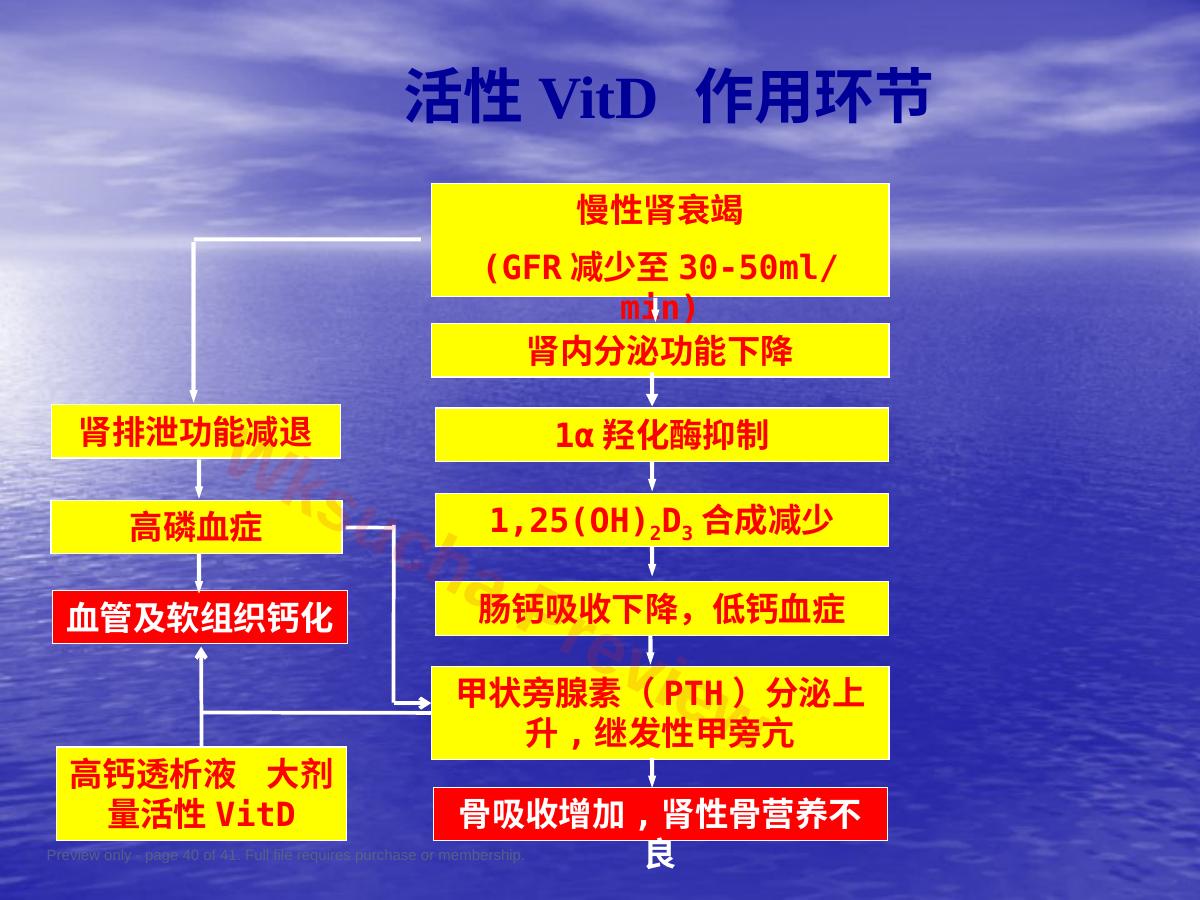 预览第 40 页