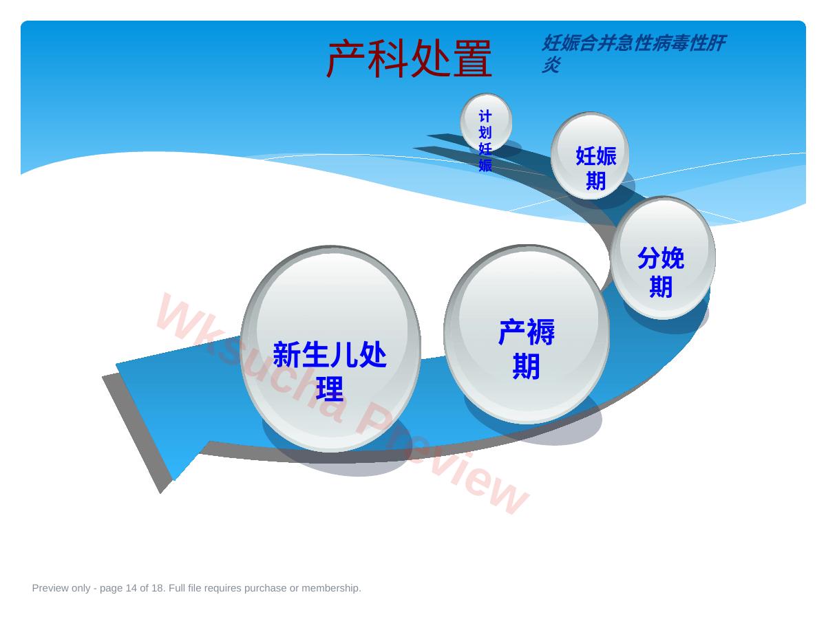 预览第 14 页