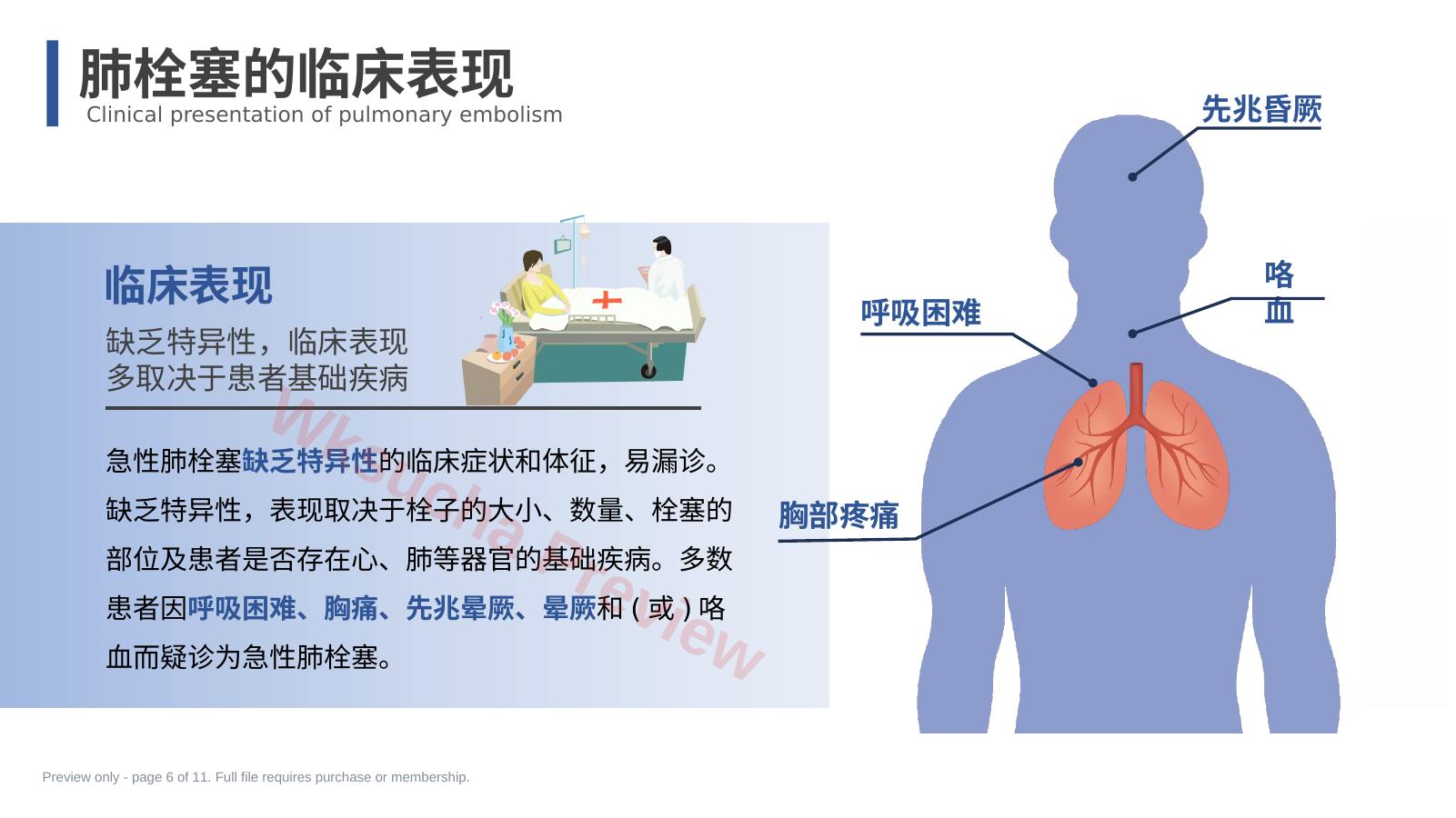 预览第 6 页