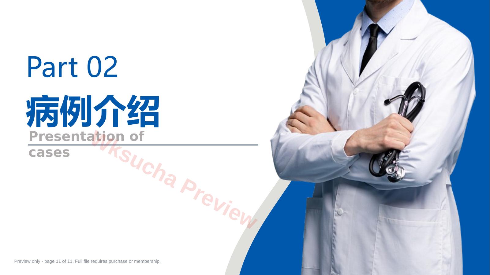 预览第 11 页