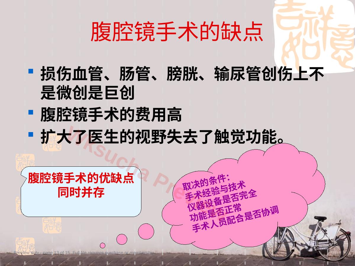 预览第 13 页