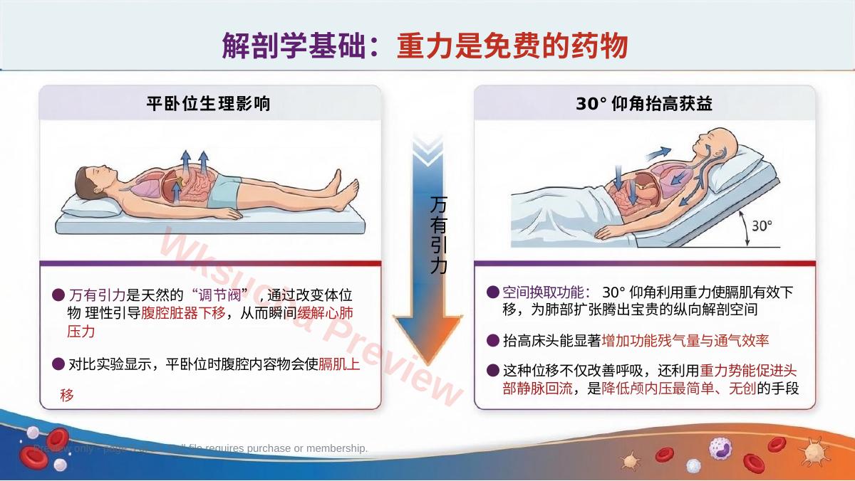预览第 5 页