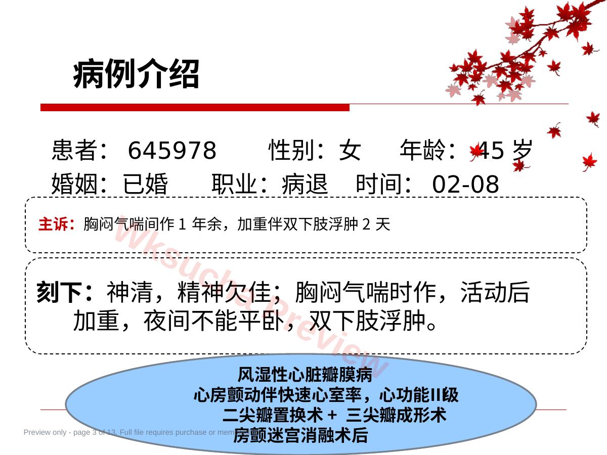 预览第 3 页