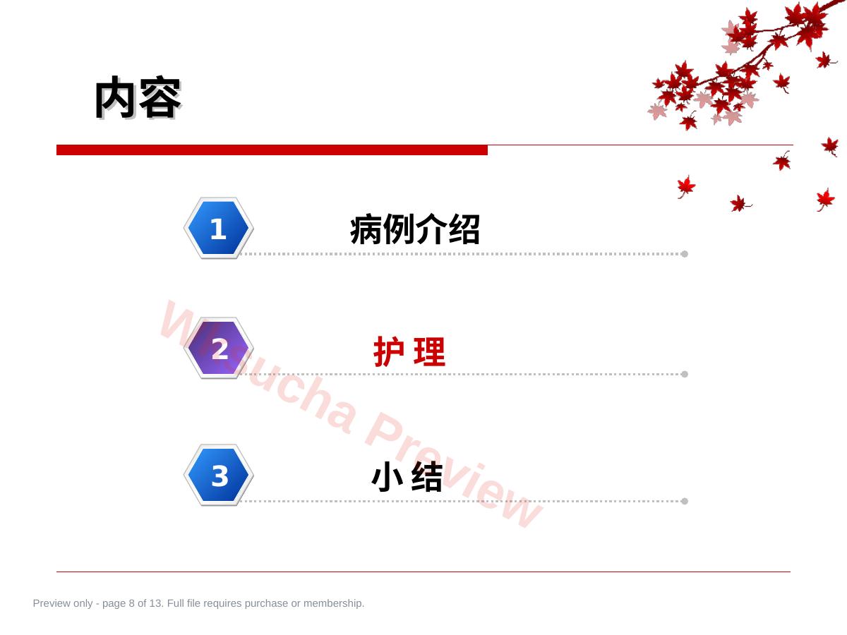 预览第 8 页