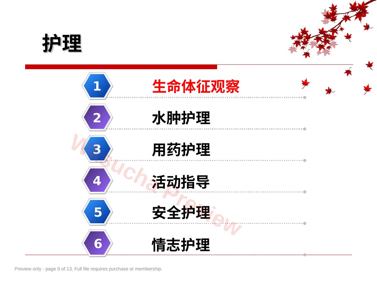 预览第 9 页