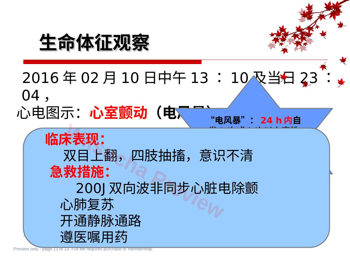 预览第 13 页