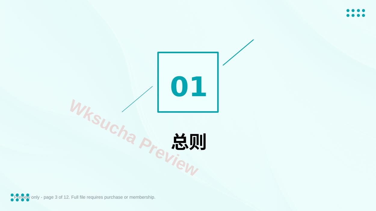 预览第 3 页