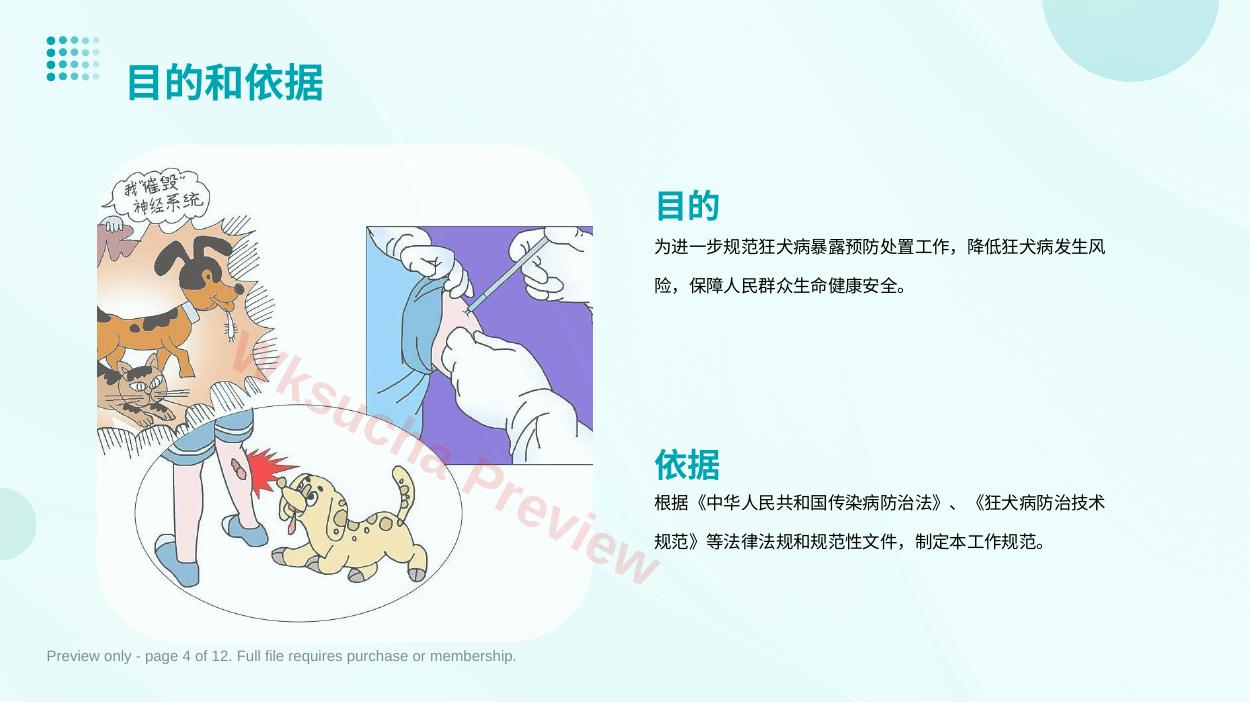 预览第 4 页