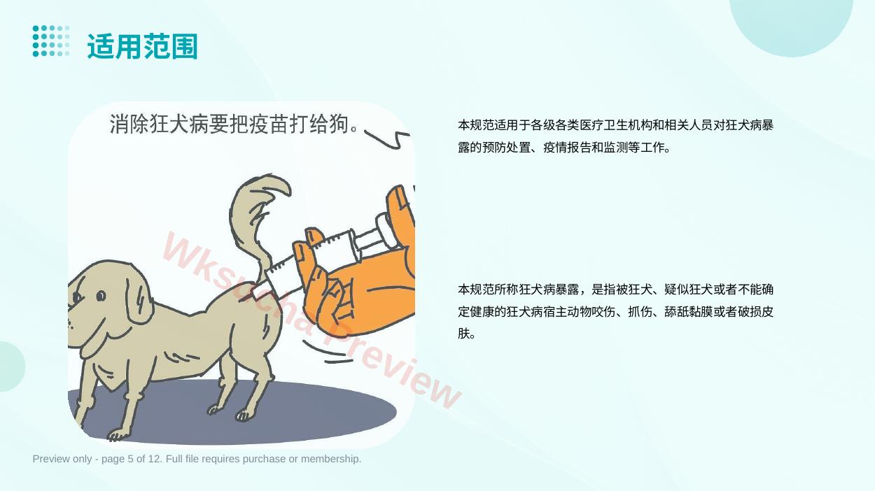 预览第 5 页