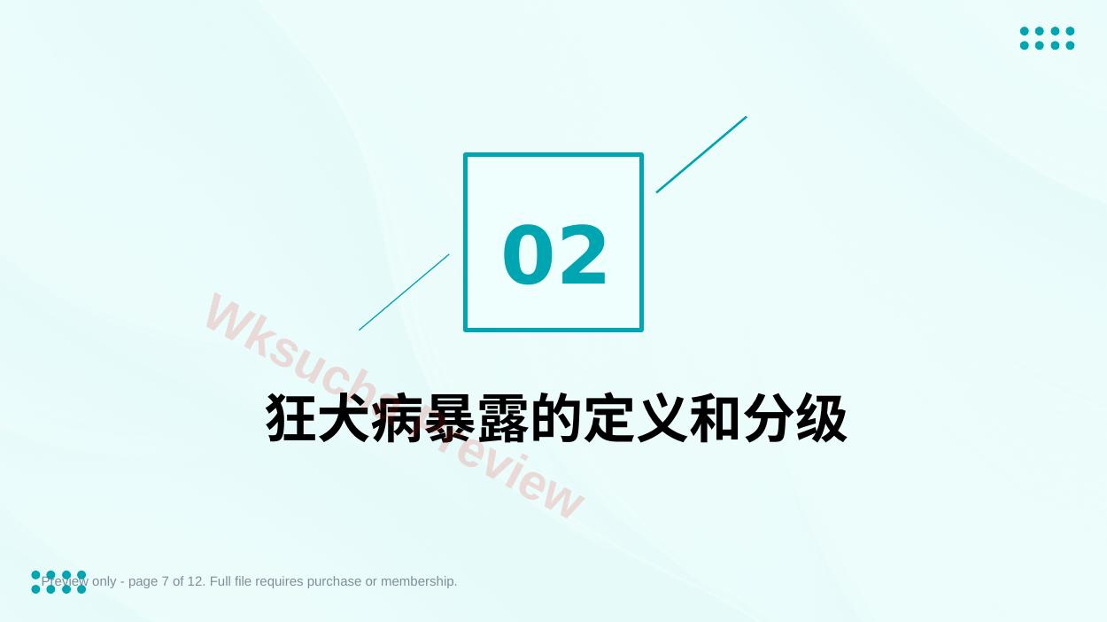 预览第 7 页