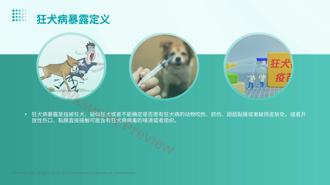 预览第 8 页