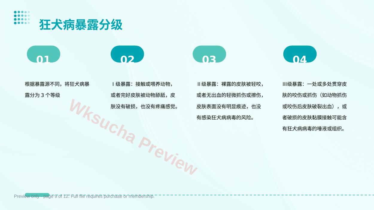 预览第 9 页