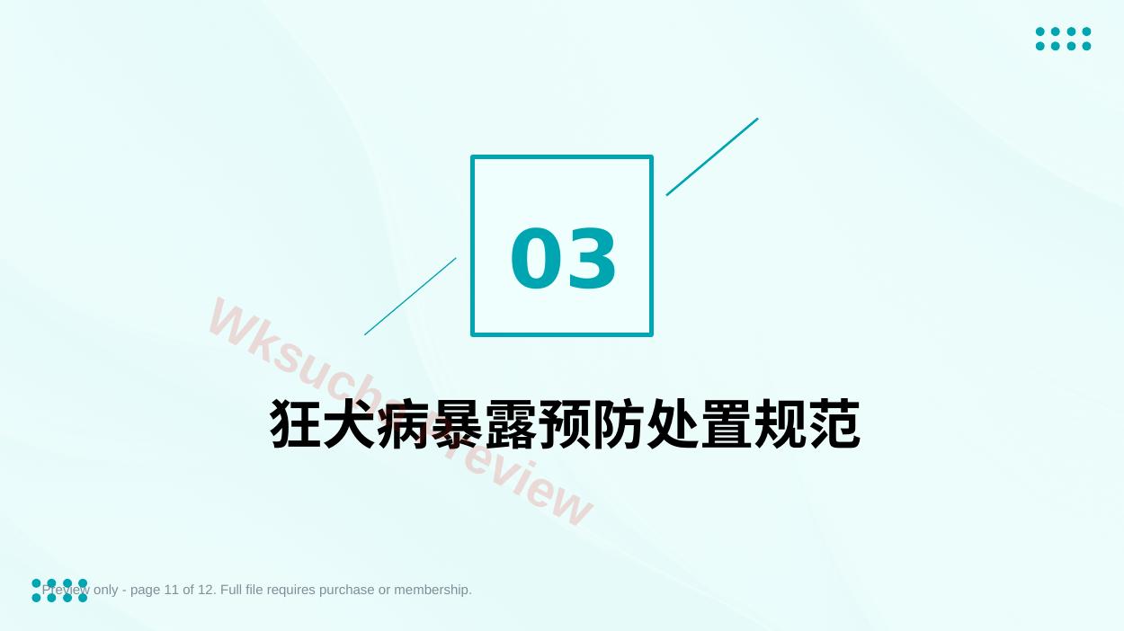 预览第 11 页