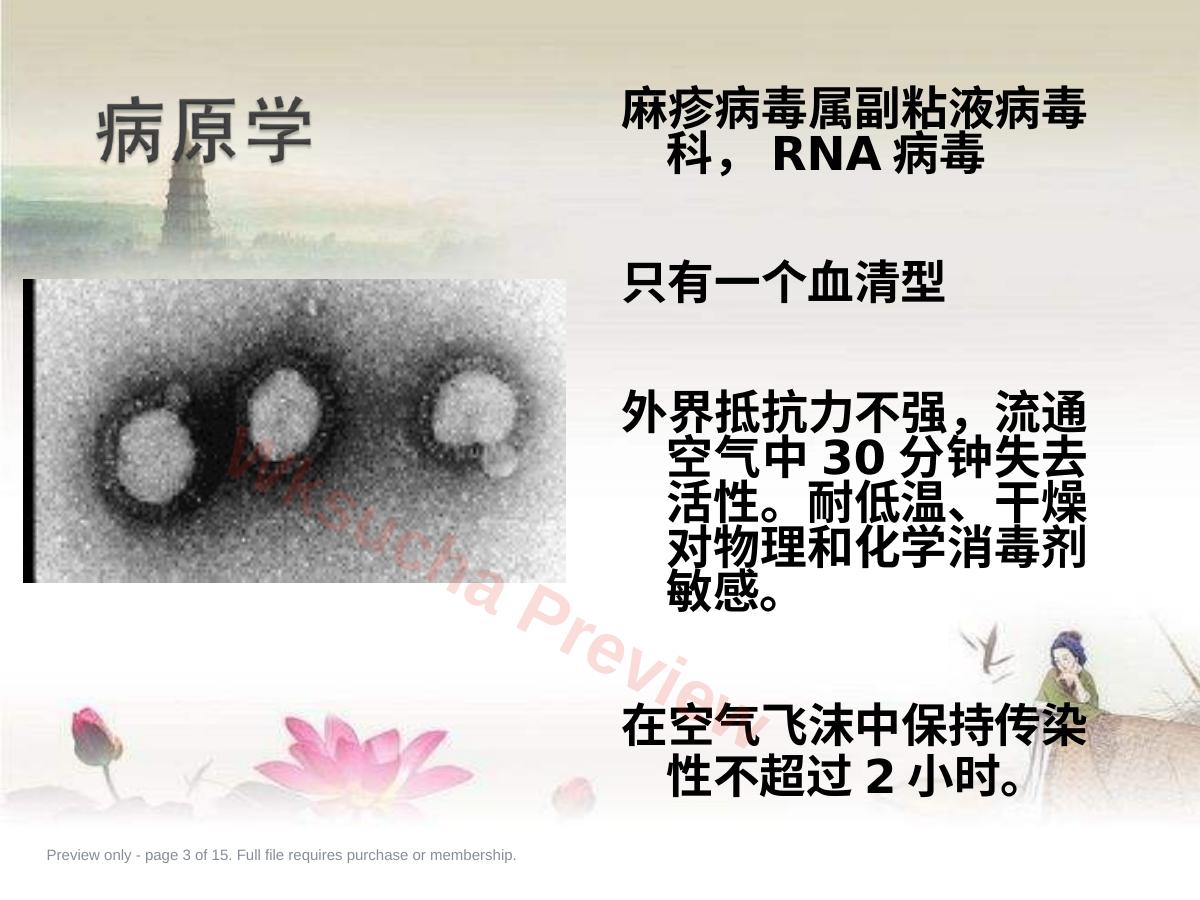 预览第 3 页