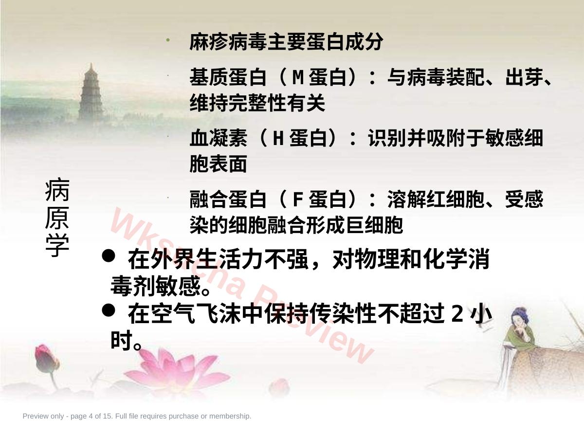 预览第 4 页
