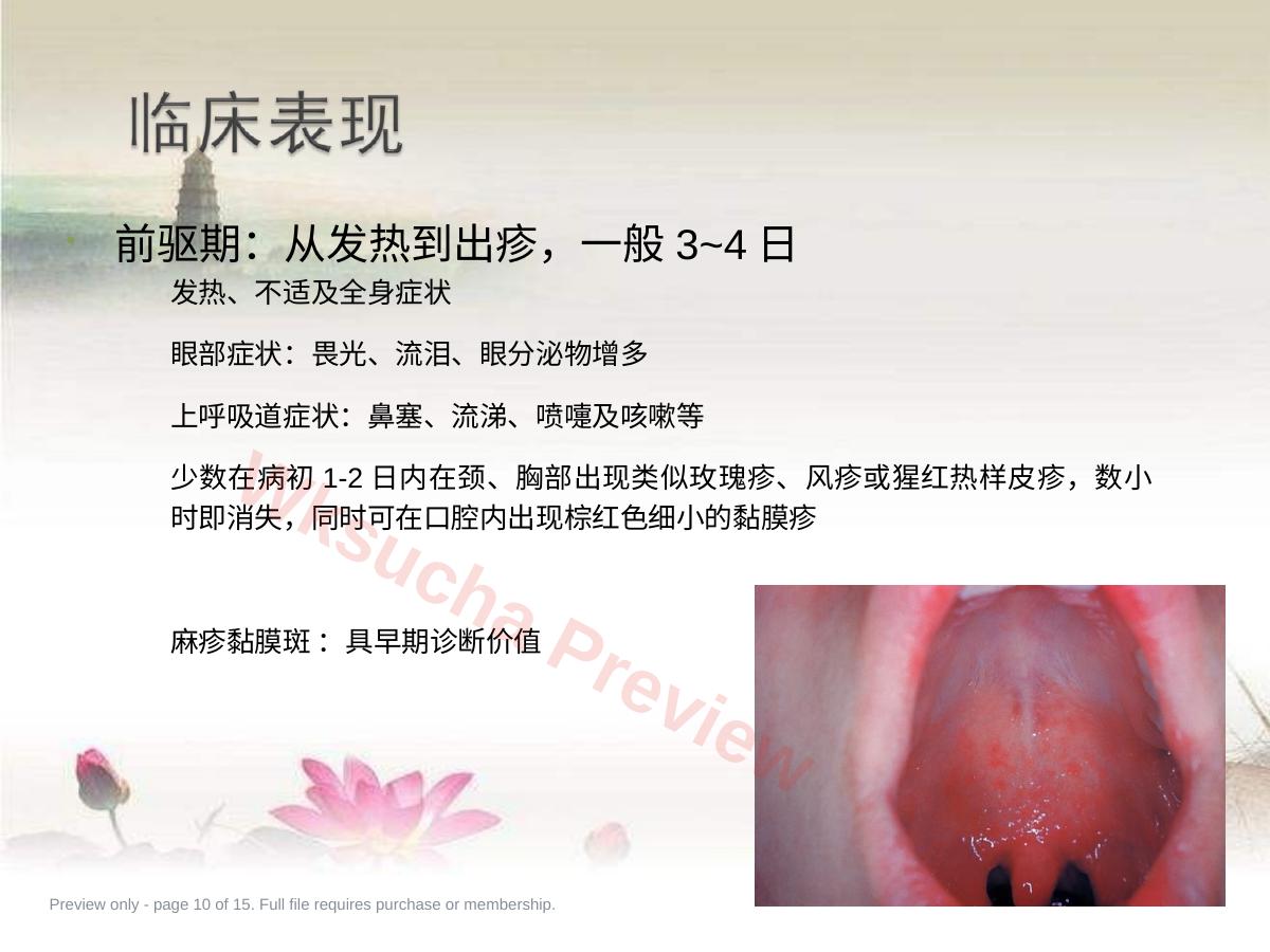 预览第 10 页