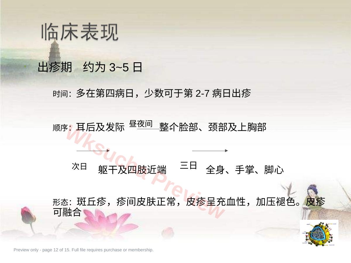 预览第 12 页