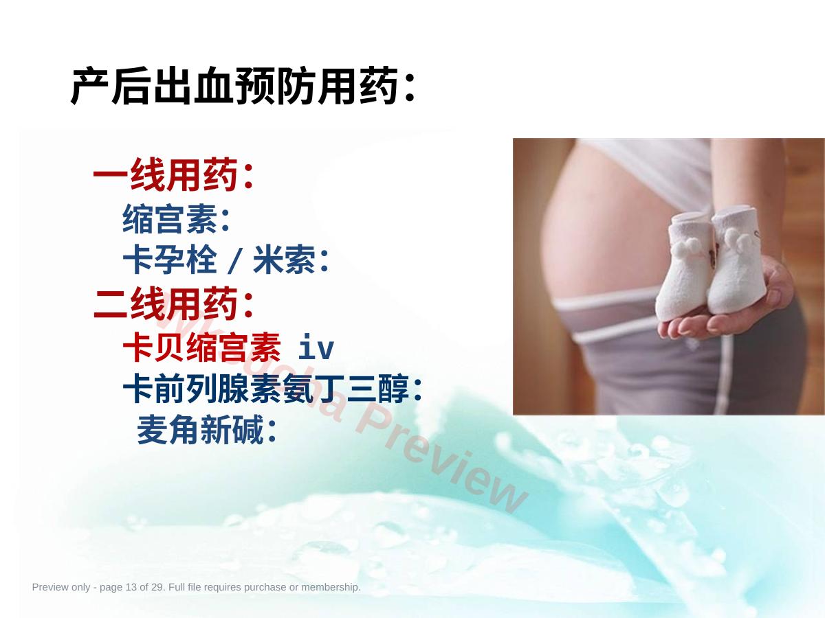 预览第 13 页