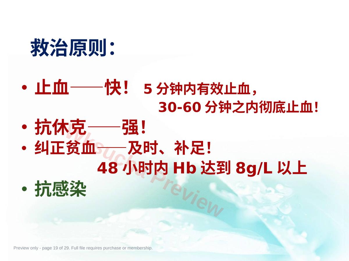 预览第 19 页