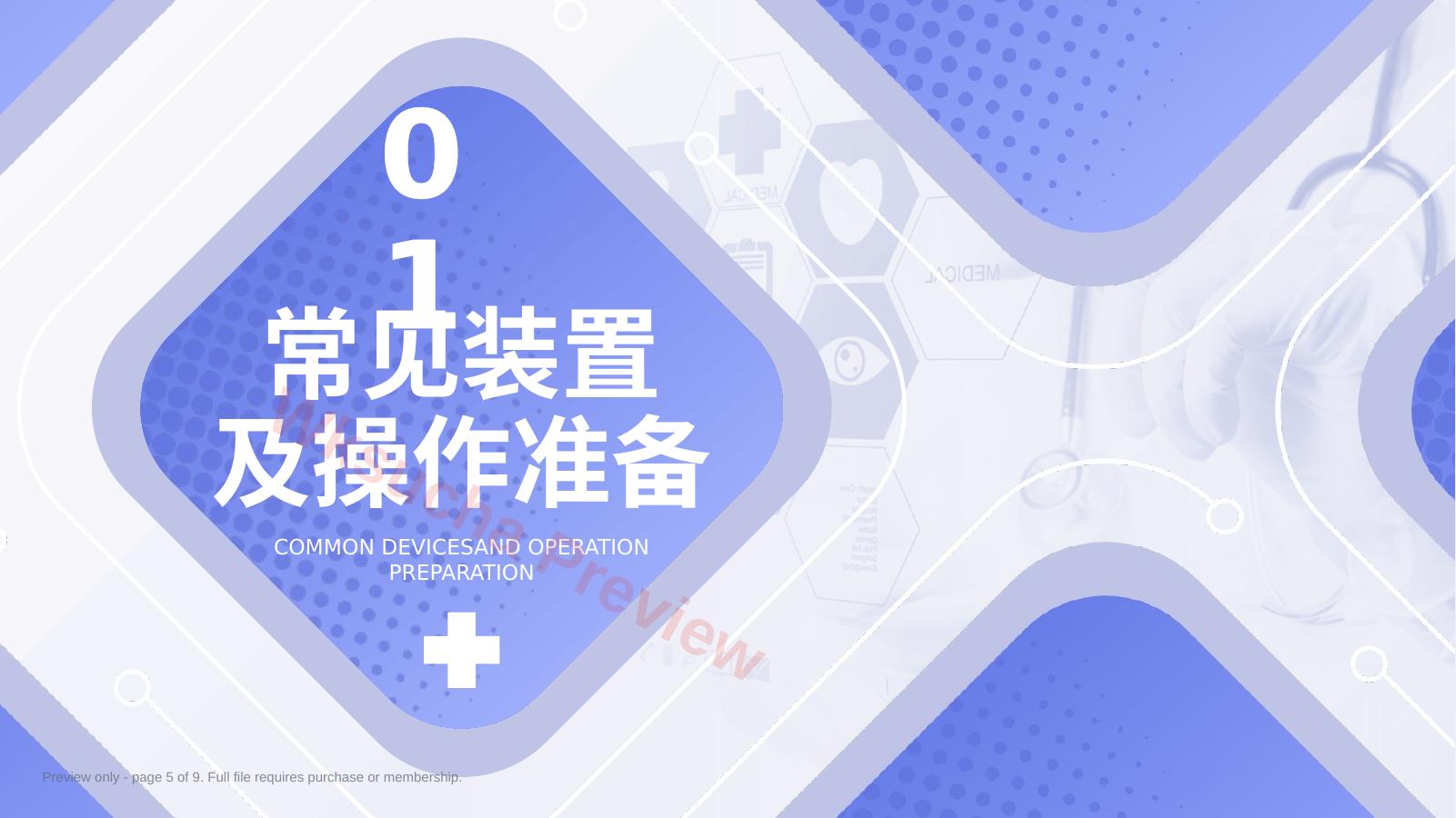 预览第 5 页
