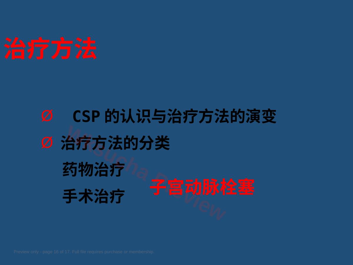 预览第 16 页