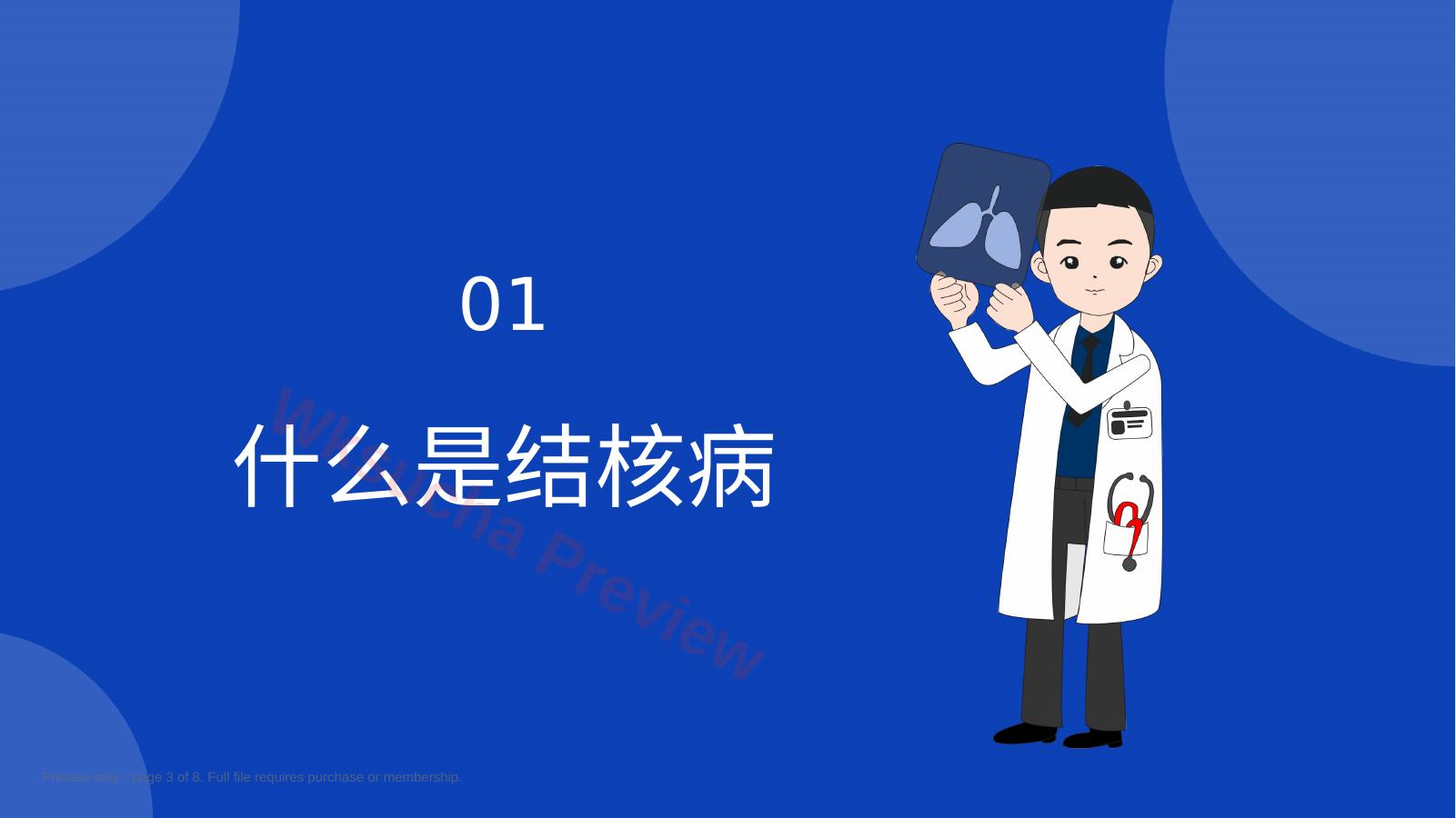 预览第 3 页